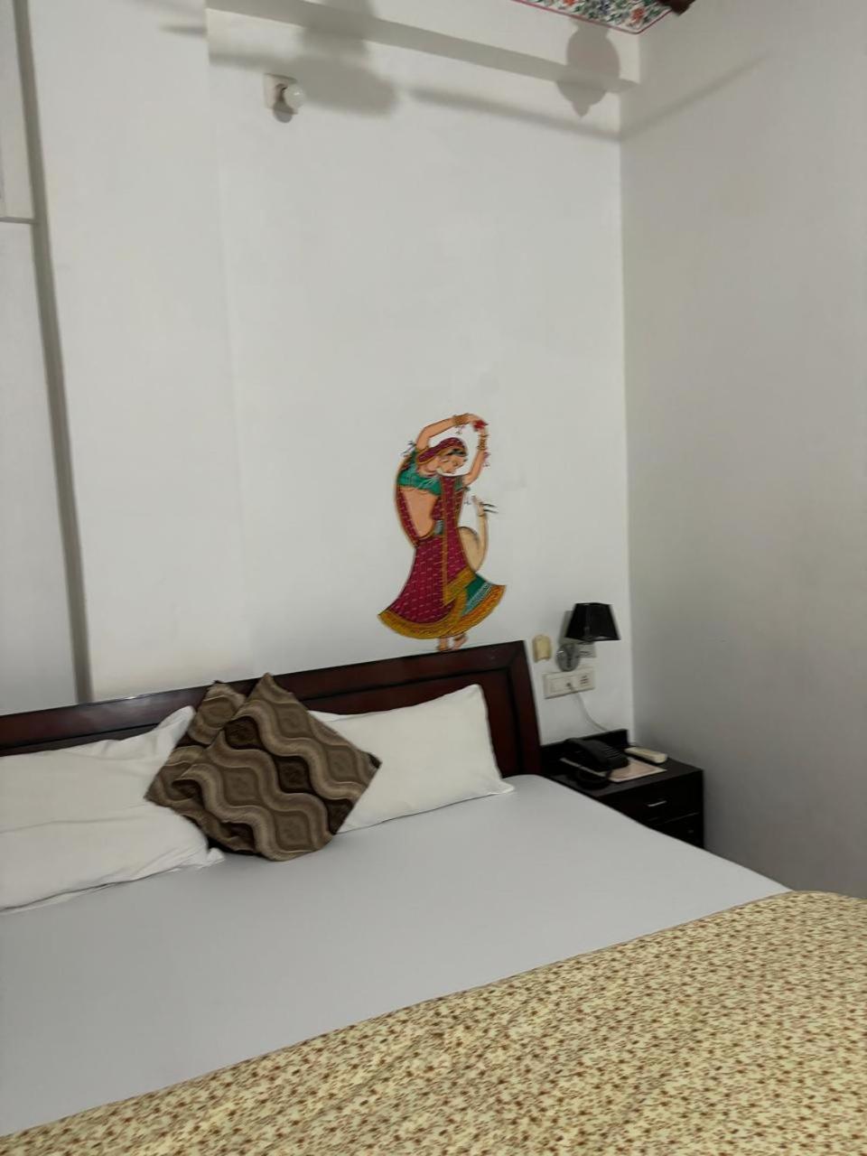 The Royal Lake View Villa Udaipur Bagian luar foto